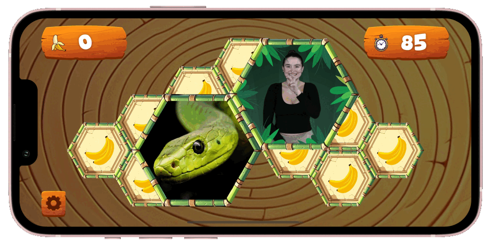 Memory Match gameplay